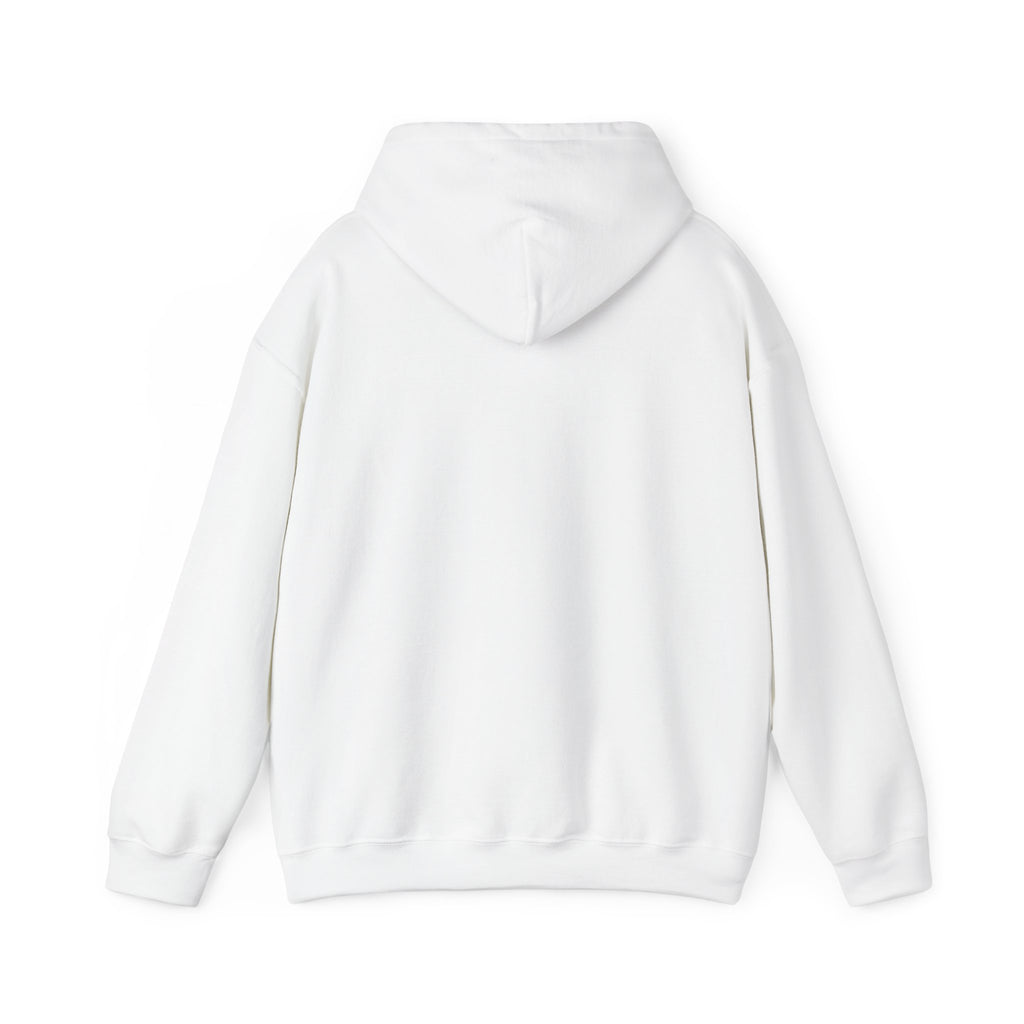 Breezy247 Wave Hoodie — Retro Surf Graphic Pullover