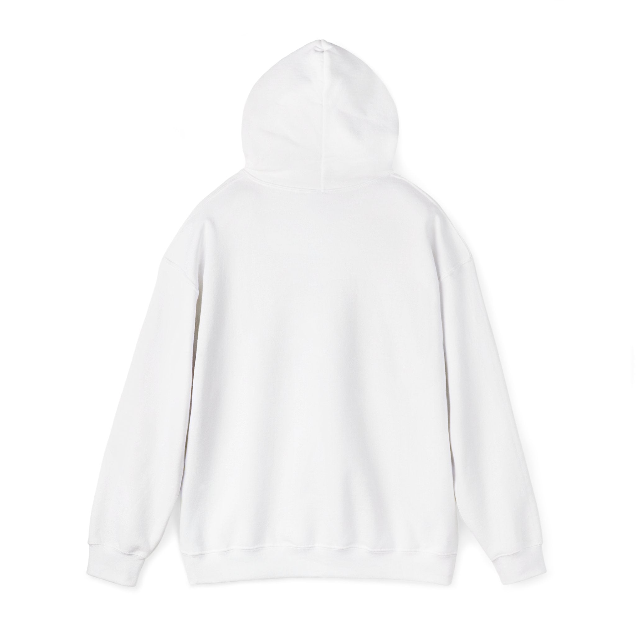 Breezy247 Wave Hoodie — Retro Surf Graphic Pullover